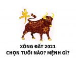 chon-tuoi-dep-xong-dat-nam-2021-cho-tuoi-at-suu