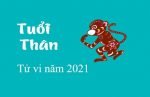tu-vi-nam-2021-cho-tuoi-nham-than-nam-nu-mang