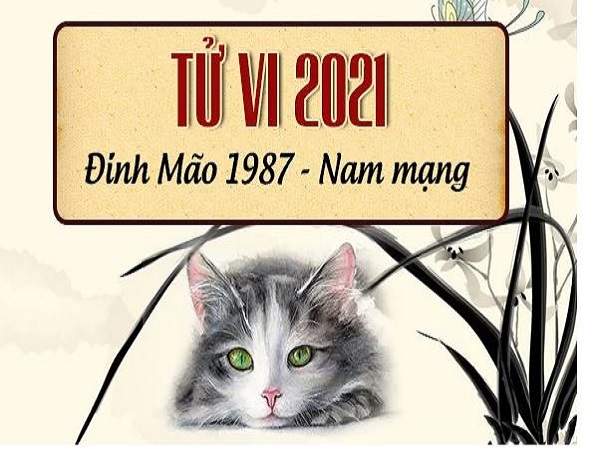 tu-vi-tuoi-dinh-mao-1987-nam-2021-nam-nu-mang