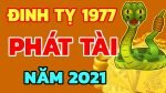 tu-vi-tuoi-dinh-ty-nam-2021-nam-mang