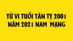 tu-vi-tuoi-tan-ty-nam-2021-nam-mang