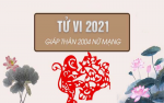 xem-tu-vi-tuoi-giap-than-nam-2021