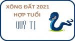 xem-tuoi-xong-dat-dau-nam-2021-cho-tuoi-quy-ty-1953