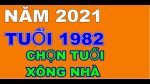 chon-tuoi-xong-dat-nam-tan-su-u-cho-tuoi-nham-tuat-1982