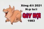 tuoi-hop-xong-dat-nam-2021-cho-tuoi-quy-hoi-1983
