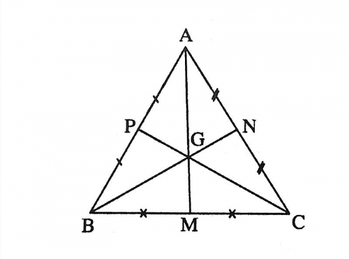 Các Điểm lưu ý đặc biệt quan trọng của trọng tâm vô tam giác vuông là gì?
