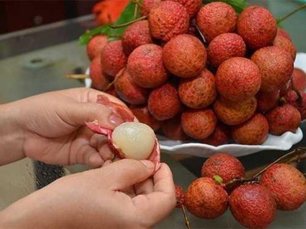 quả vải