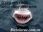 If you can’t bite, never show your teeth